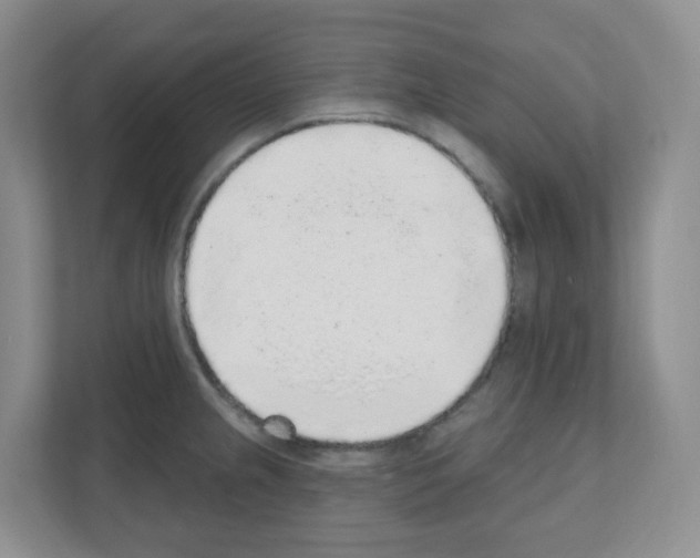 X0000111131237200908111032