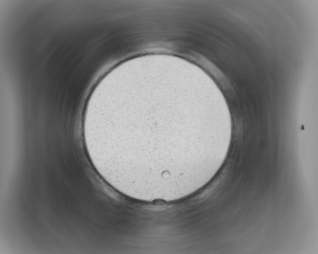 X0000111131240200908111032