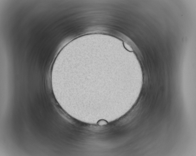 X0000111131242200908111032