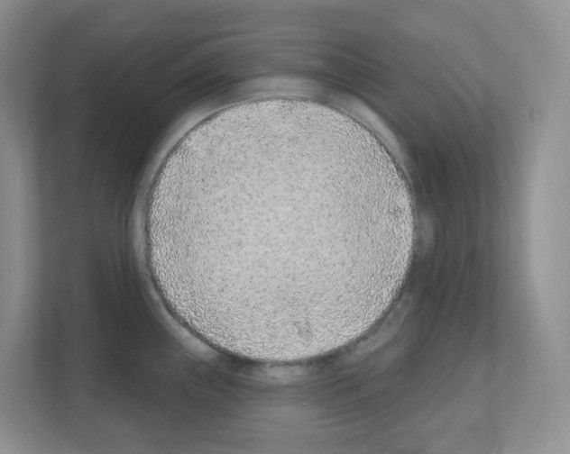 X0000111131243200908111032