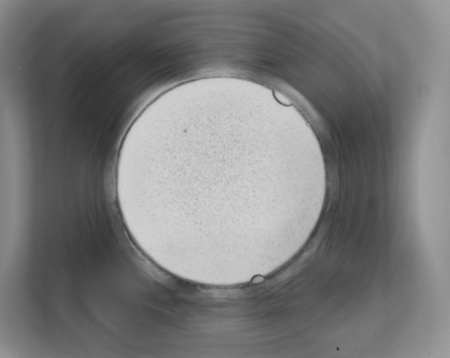 X0000111131244200908111032