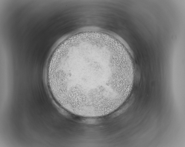 X0000111131245200908111032