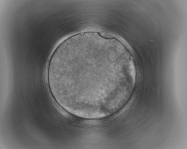 X0000111131246200908111032