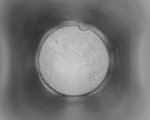 X0000111131247200908111032