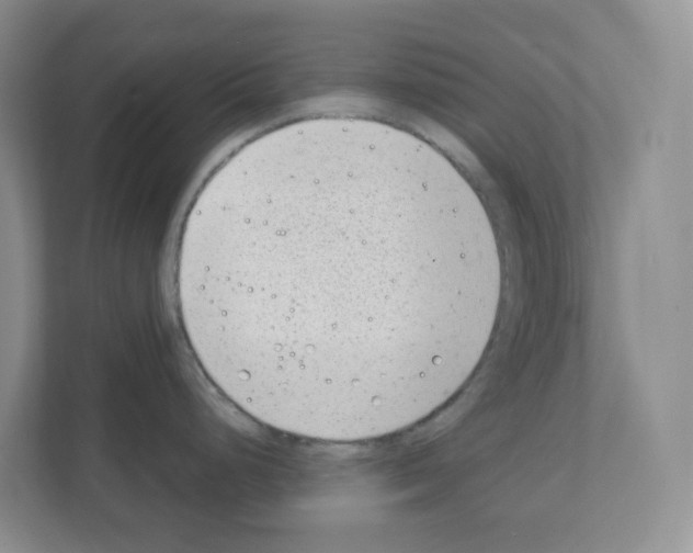 X0000111131248200908111033