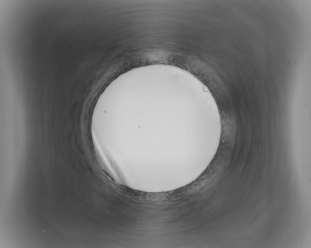 X0000111131249200908111032