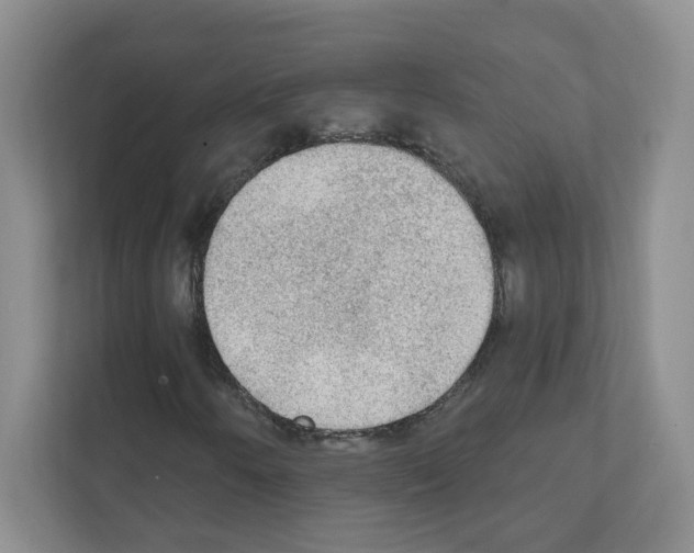 X0000111131250200908111032