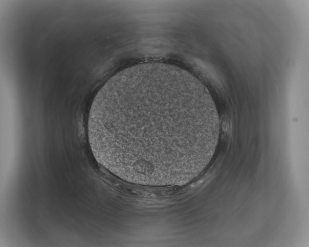 X0000111131252200908111032