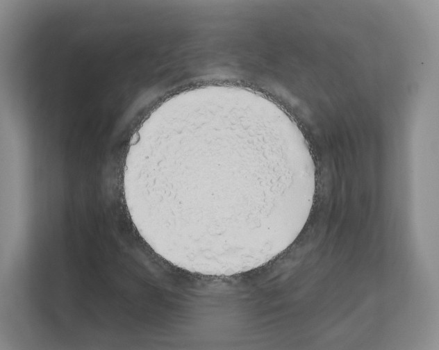 X0000111131255200908111032