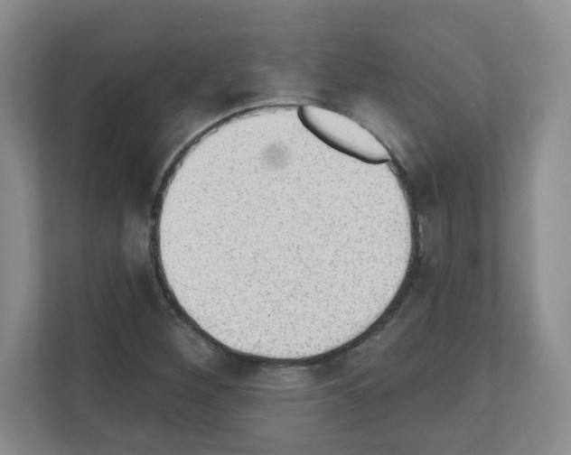 X0000111131260200908111032