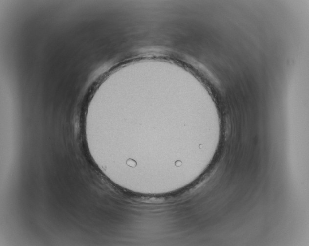 X0000111131261200908111032