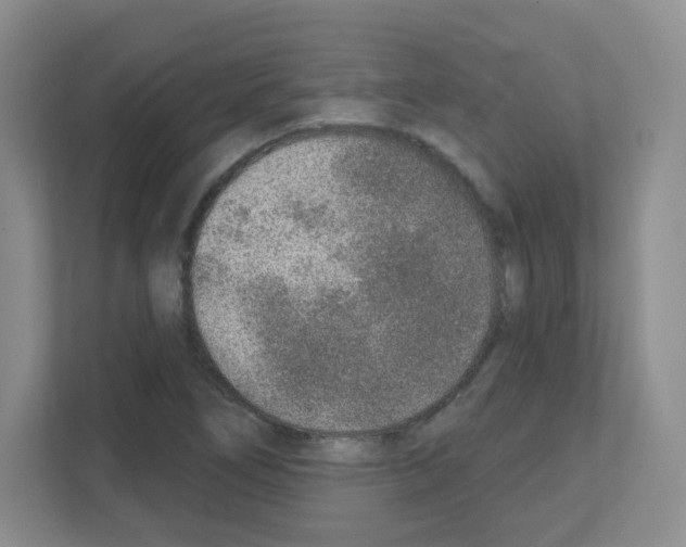 X0000111131266200908111032