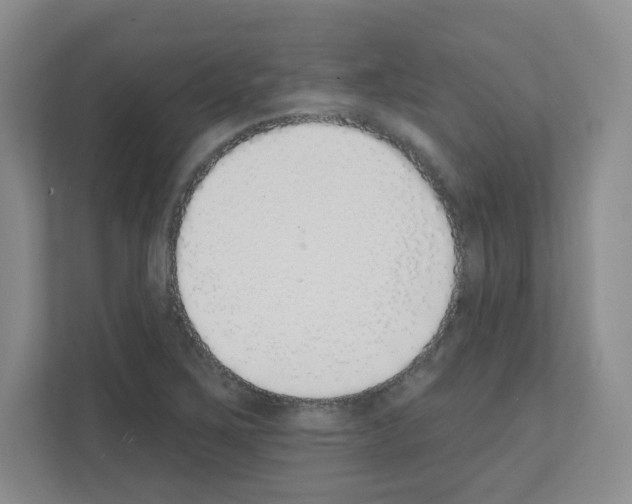 X0000111131267200908111032