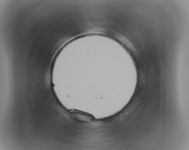 X0000111131268200908111032