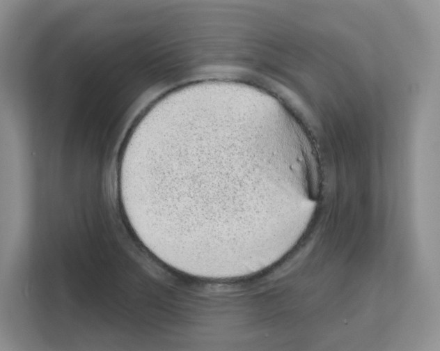 X0000111131275200908111032