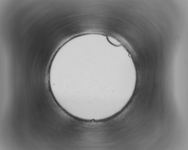 X0000111131284200908111031