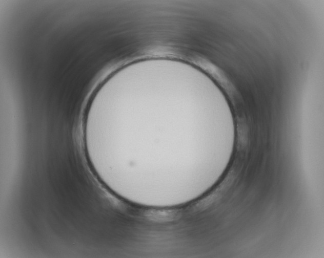 X0000111131286200908111031