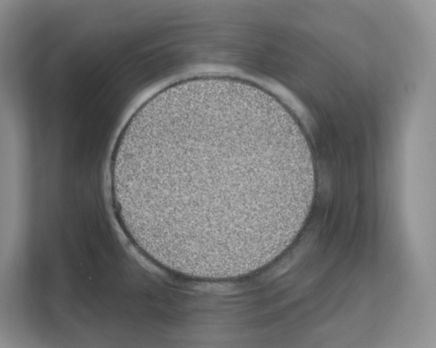 X0000111131287200908111031