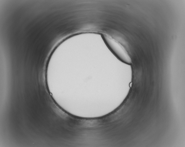 X0000111131288200908111031