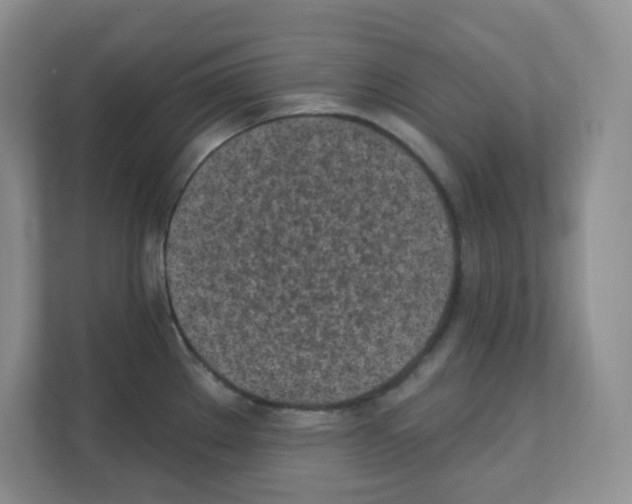 X0000111131289200908111031