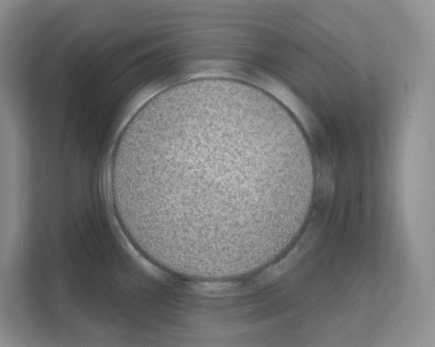 X0000111131290200908111031