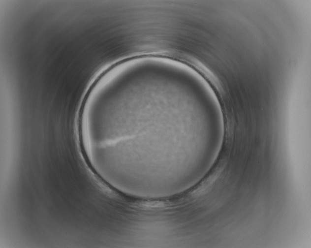 X0000111131291200908111031