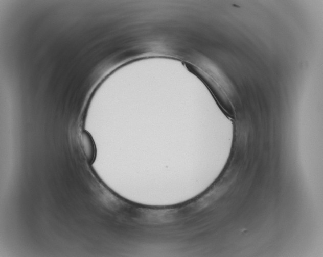 X0000111131292200908111031