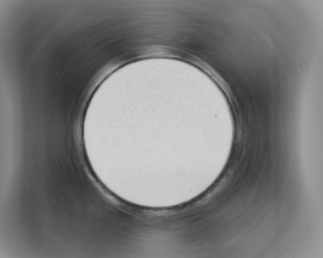 X0000111131293200908111031