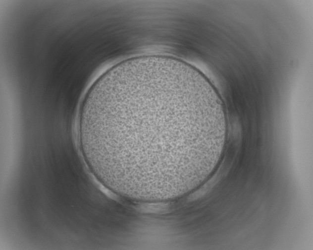 X0000111131294200908111031