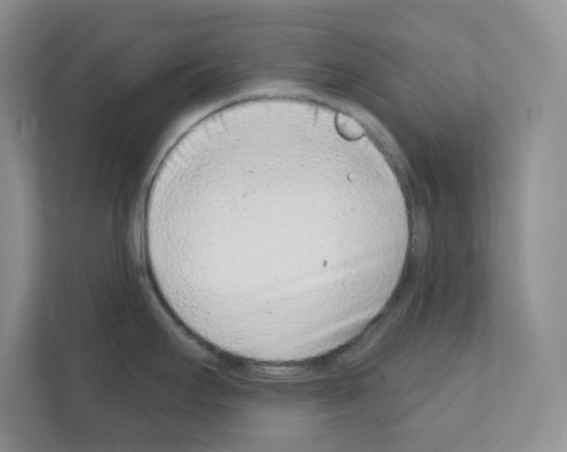 X0000111131295200908111031