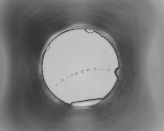 X0000111131296200908111031