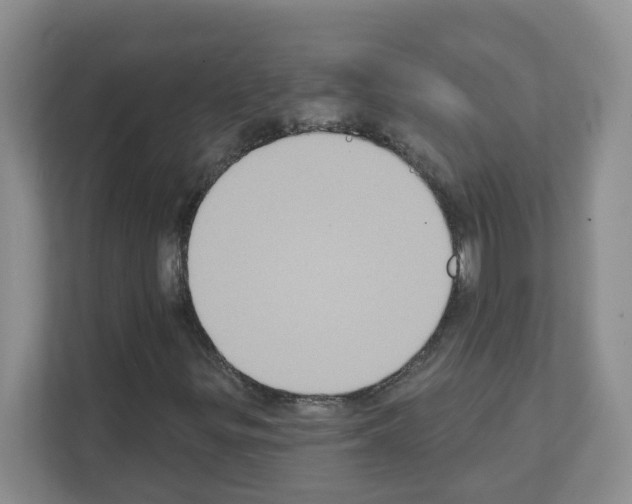 X0000111131299200908111031
