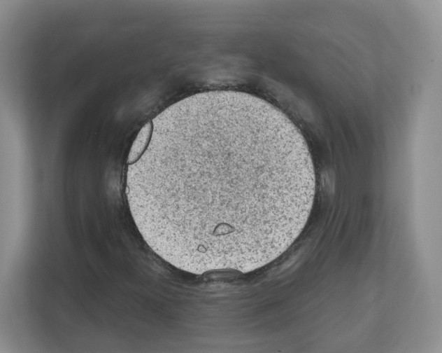X0000111131300200908111031
