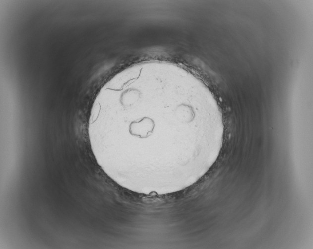 X0000111131302200908111031
