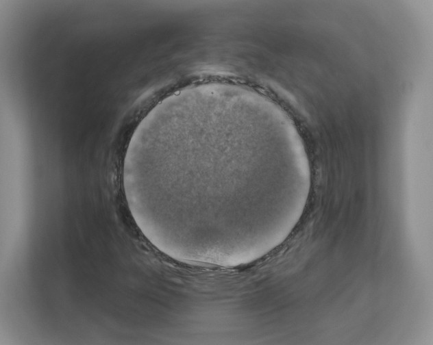 X0000111131303200908111031