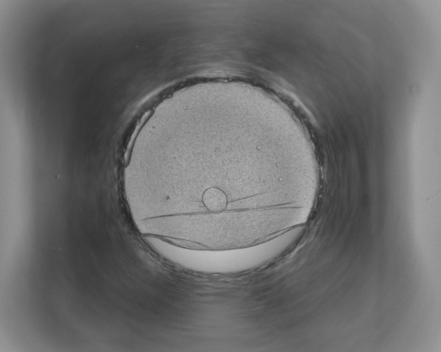X0000111131304200908111031