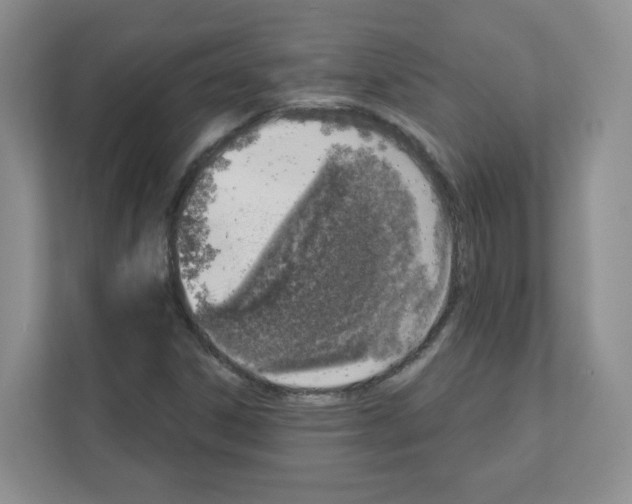 X0000111131306200908111031