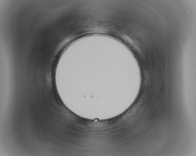 X0000111131307200908111031
