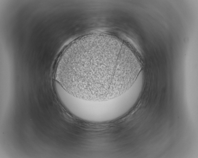 X0000111131308200908111031