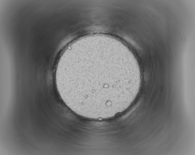 X0000111131309200908111031