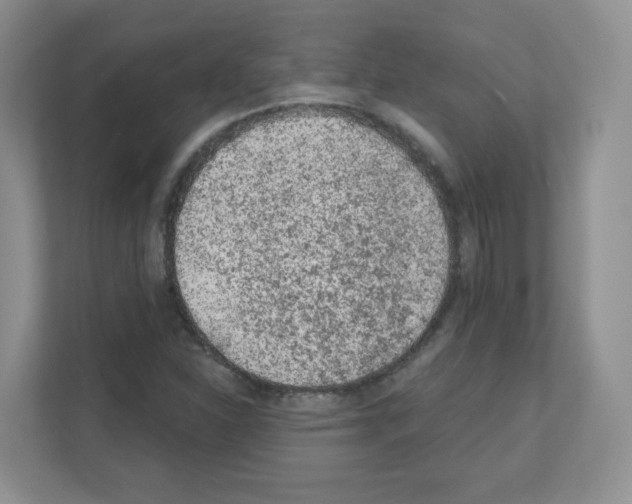 X0000111131310200908111031