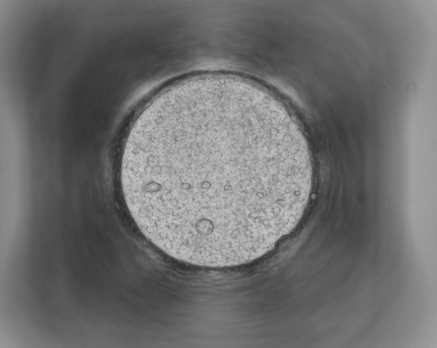 X0000111131311200908111031