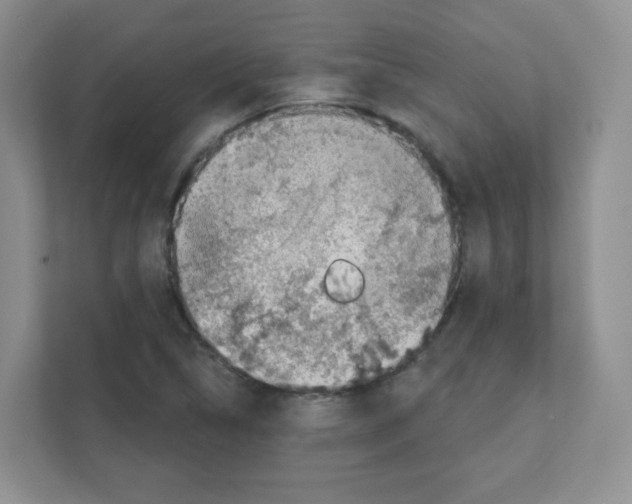 X0000111131314200908111031