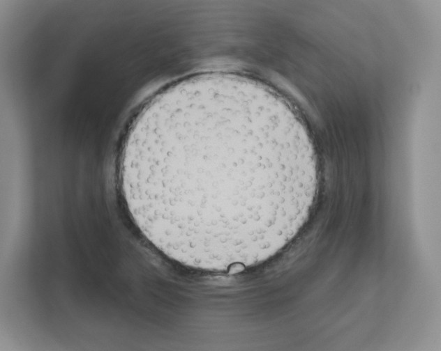 X0000111131315200908111031