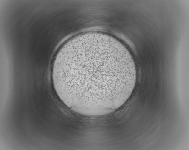 X0000111131316200908111031