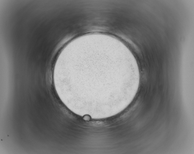 X0000111131317200908111031