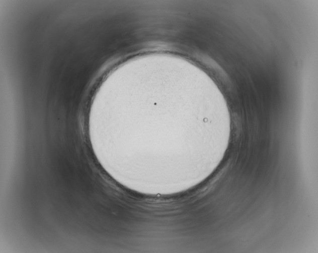 X0000111131318200908111031
