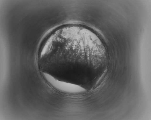 X0000111131319200908111031