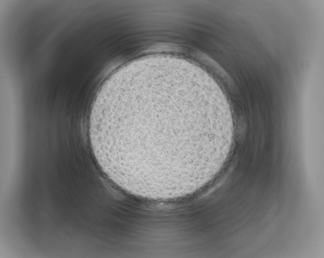 X0000111131321200908111031