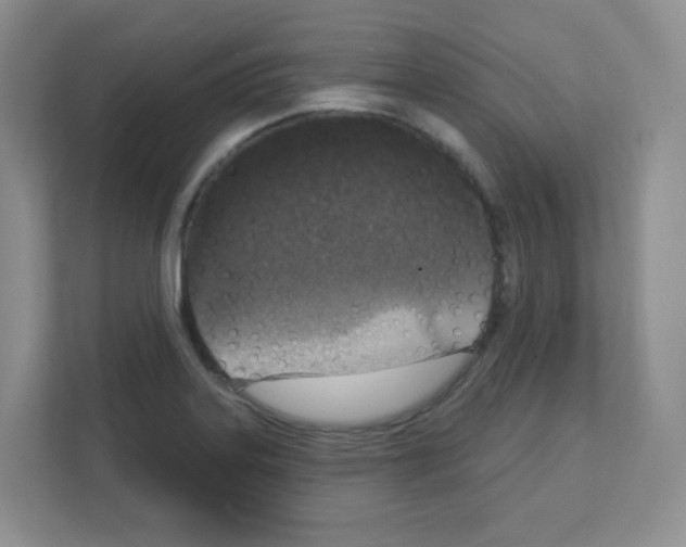 X0000111131323200908111031